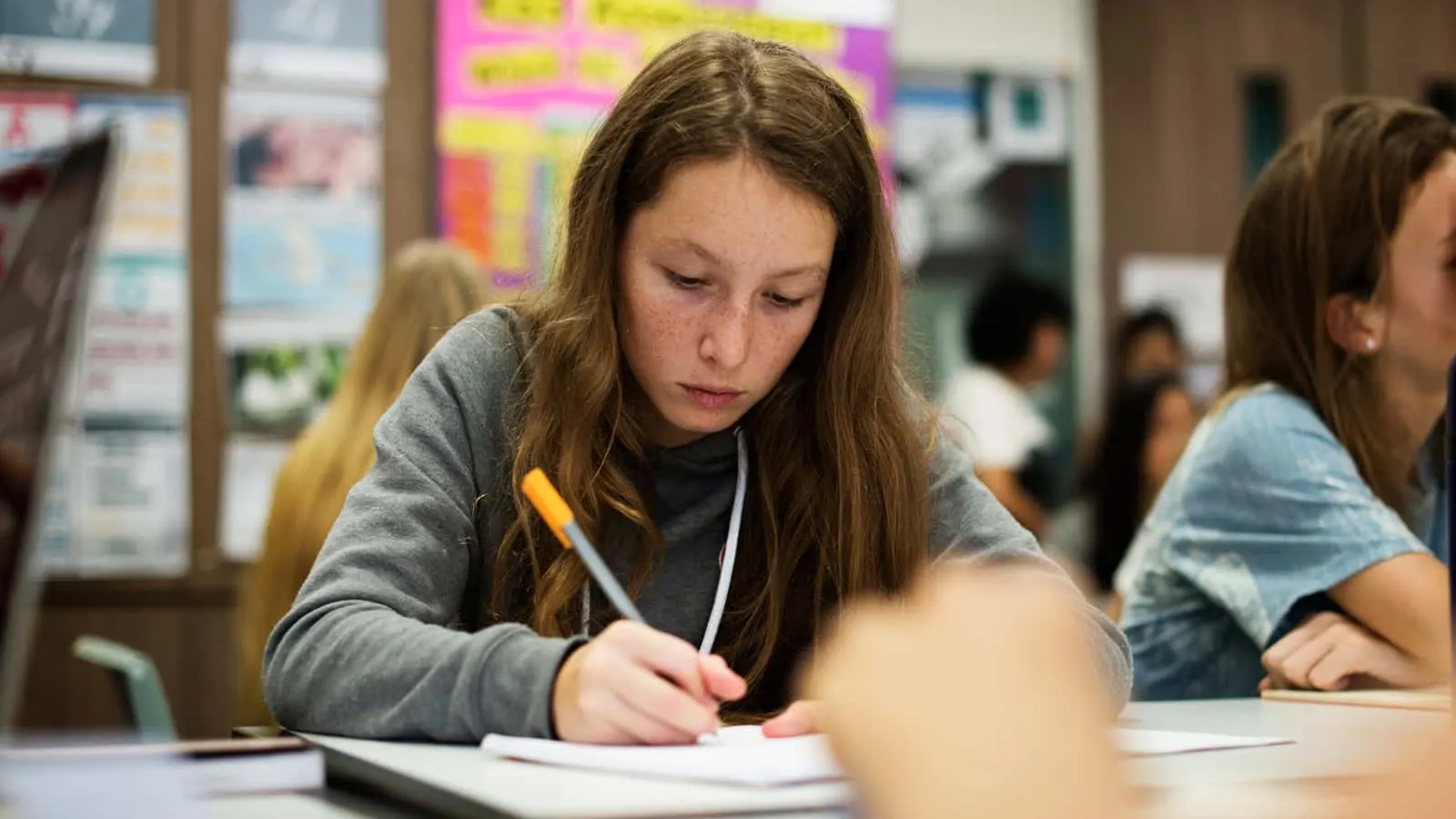 pupil studying in school