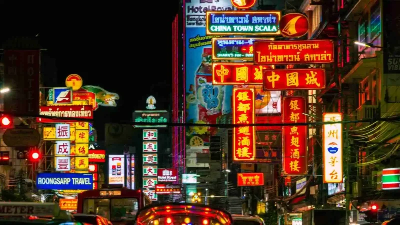 The Study of Signs
