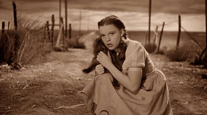 Dorothy protects her dog Toto