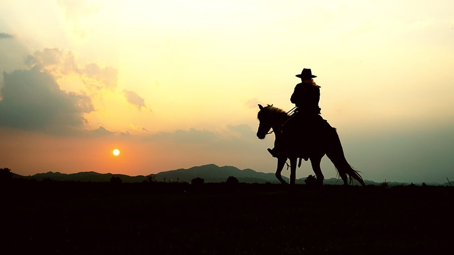 cowboy on horse looking at the sunset