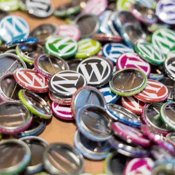 Categories and Tags in WordPress