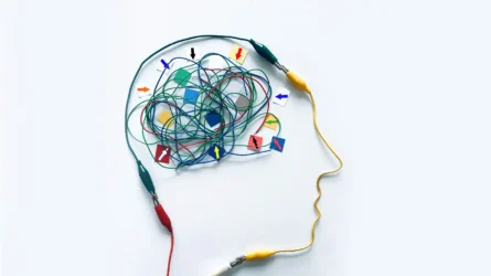 The Speaking-Circuit