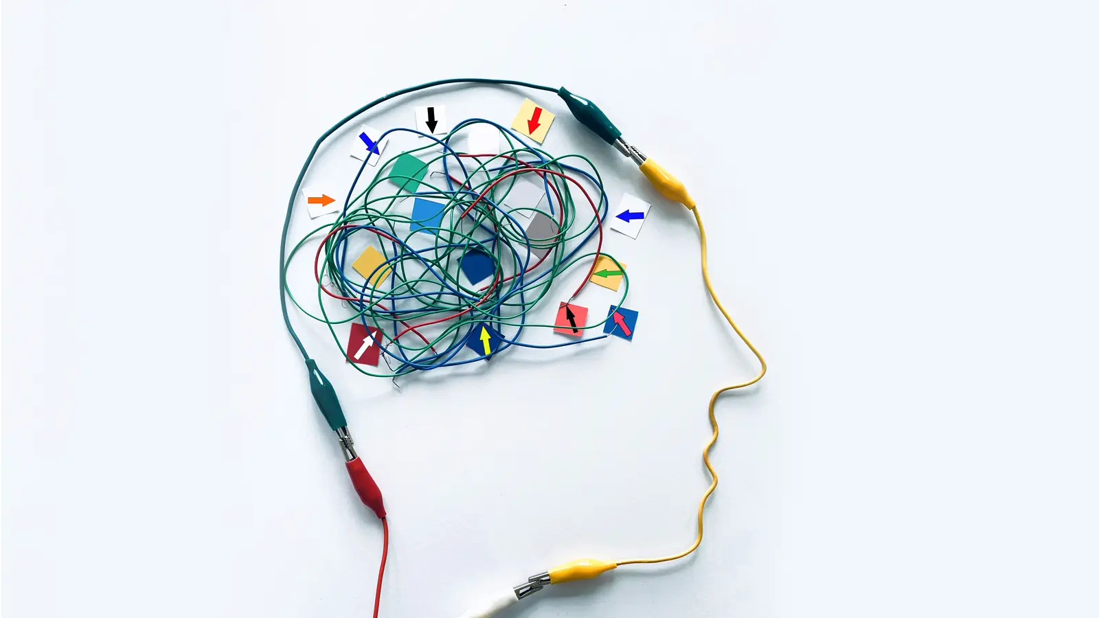 a profile of a face using wires